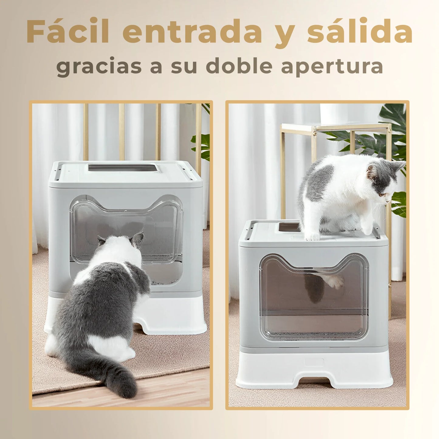 ARENERO PARA GATOS